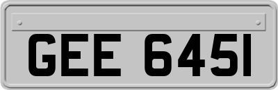 GEE6451