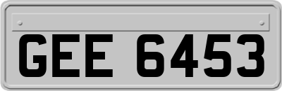 GEE6453