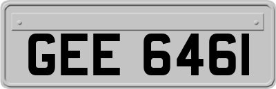 GEE6461