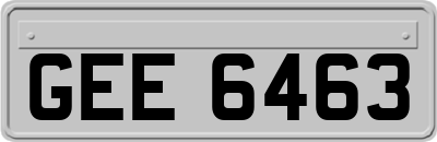 GEE6463