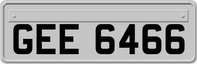 GEE6466