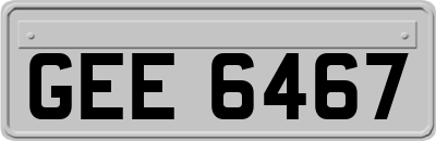 GEE6467