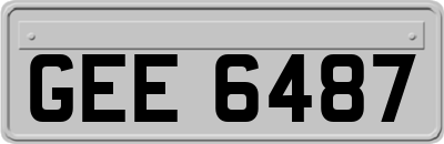 GEE6487