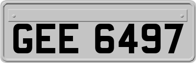 GEE6497