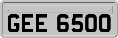 GEE6500