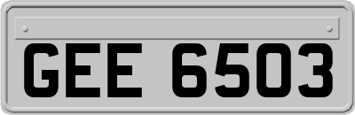 GEE6503