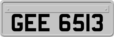 GEE6513