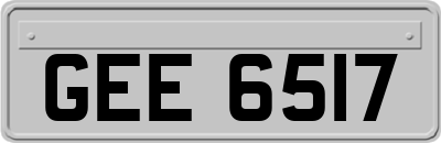 GEE6517