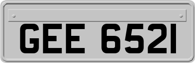 GEE6521