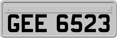 GEE6523