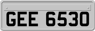 GEE6530