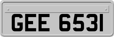 GEE6531