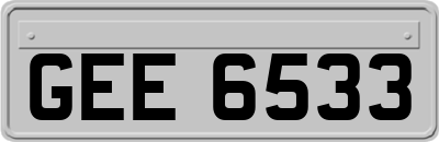 GEE6533