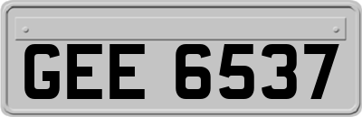 GEE6537