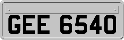 GEE6540