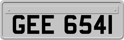 GEE6541