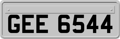 GEE6544