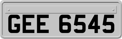 GEE6545