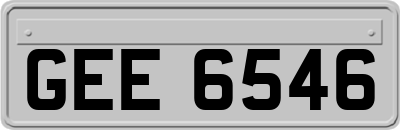 GEE6546