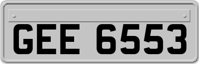 GEE6553