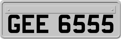 GEE6555