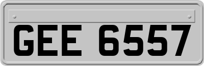 GEE6557