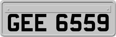 GEE6559