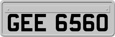 GEE6560