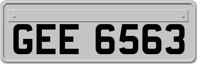 GEE6563