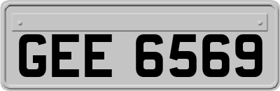 GEE6569