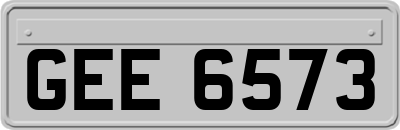 GEE6573