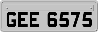 GEE6575