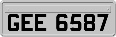 GEE6587