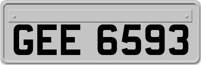 GEE6593