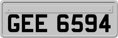 GEE6594