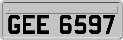 GEE6597
