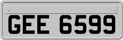 GEE6599
