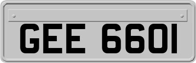 GEE6601