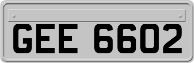 GEE6602