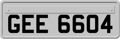 GEE6604