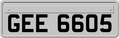 GEE6605