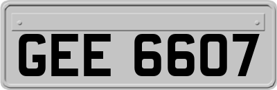 GEE6607
