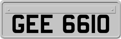 GEE6610