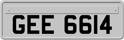 GEE6614