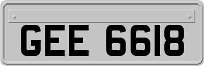 GEE6618