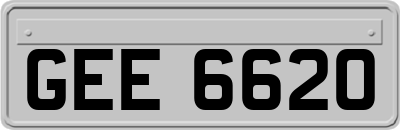 GEE6620