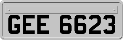 GEE6623
