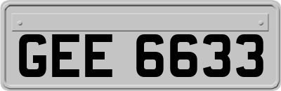 GEE6633