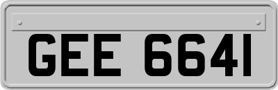 GEE6641
