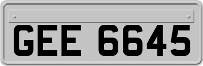 GEE6645